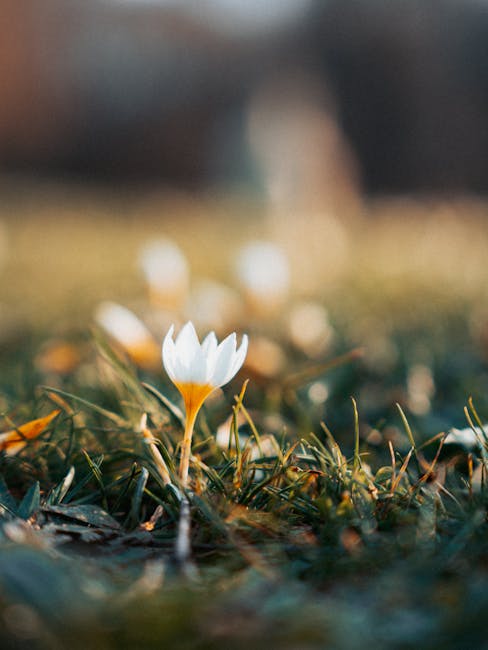 Obbligo vaccinale: scadenze e procedure di decadenza dall’iscrizione alla scuola dell’Infanzia per il 2026/2027