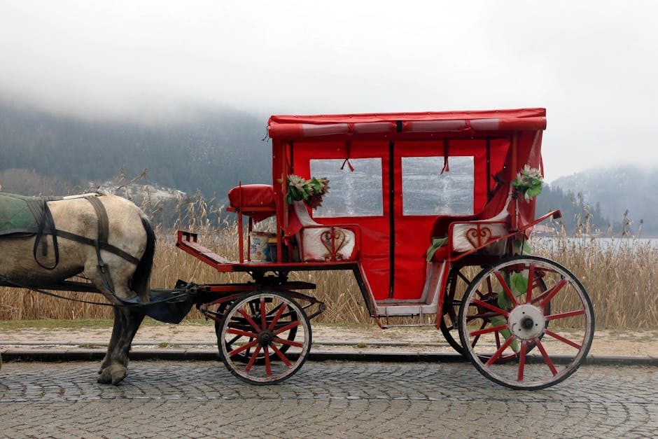 Carrozza rossa trainata da cavallo in un paesaggio invernale nebbioso, evocativa di tradizioni e miti legati alla stagione fredda.