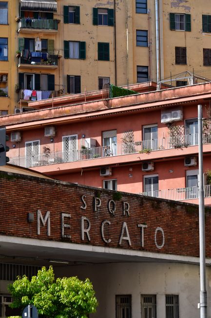 Il mercato delle ripetizioni private in Italia nel 2026: analisi dei costi e dinamiche del supporto scolastico