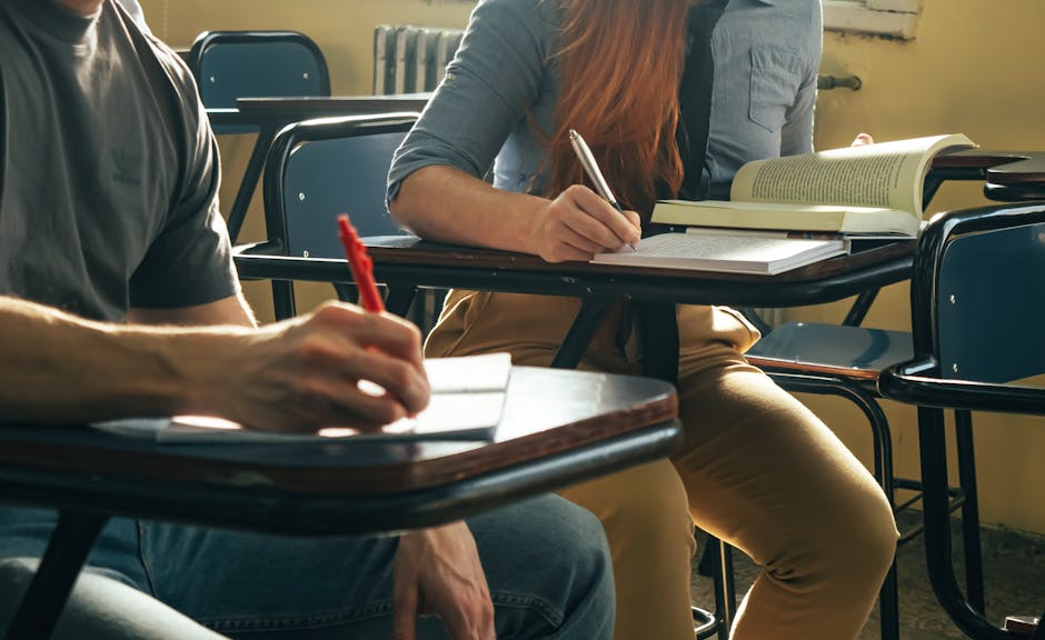 Esami di maturità 2026 in Sardegna: chi compone le commissioni e quali percorsi formativi sono disponibili