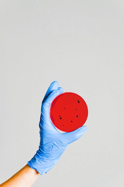 Piastra di Petri rossa con colonie batteriche, metafora dei danni cognitivi e relazionali causati dai social media nei minori secondo Crepet.