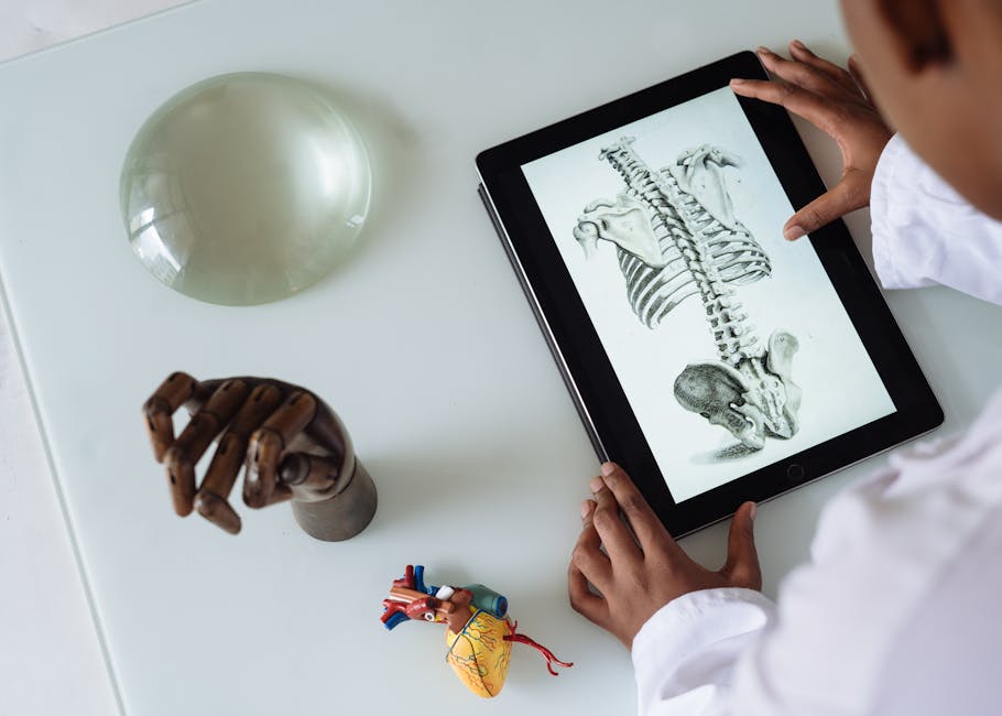 Informatica medica: studio della colonna vertebrale su tablet, modello di cuore e mano in legno per la ricerca medica avanzata.