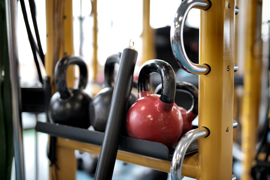 Kettlebell di diversi pesi su rack in palestra, strumenti per la formazione e il potenziamento fisico con Indire Piattaforma.
