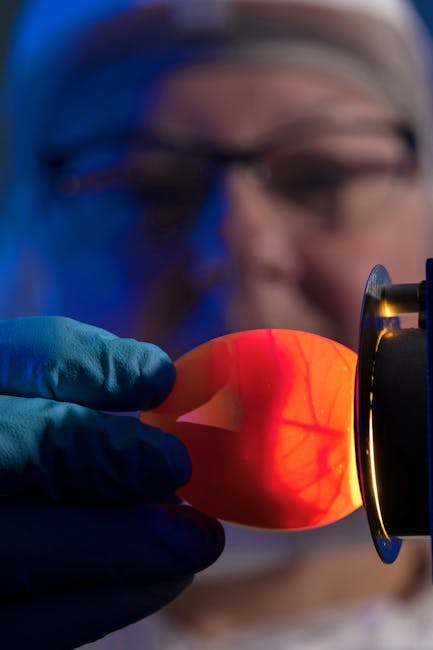 Analisi scientifica di un embrione di pollo illuminato, parte di un approccio innovativo nello studio dello sviluppo biologico.