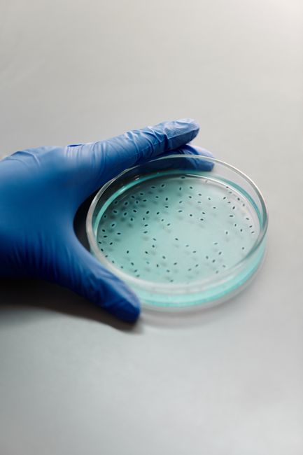 Cultura scientifica: il MUR attiva 5,25 milioni di euro per enti e fondazioni
