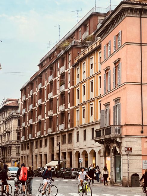 Il caso di Piacenza e il rischio "culpa in organizzando": quando l'Educazione Civica sostituisce l'ora di Religione