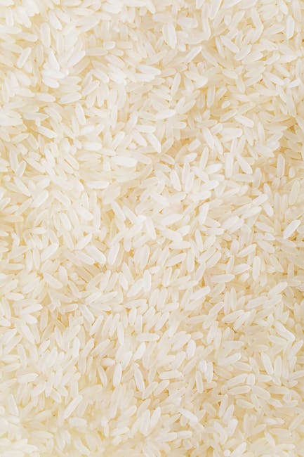 Primo piano di riso basmati cotto, evidenziando la consistenza e l'aspetto nutrizionale per un'alimentazione sana e bilanciata.