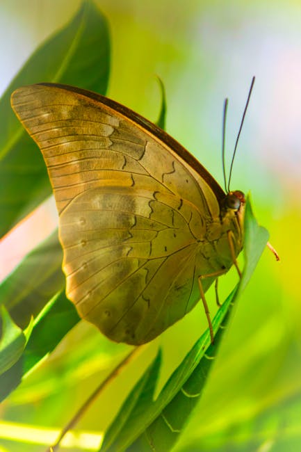 Informazioni sugli organici per l’anno scolastico 2026/2027: il ruolo del dirigente scolastico alla chiusura delle iscrizioni