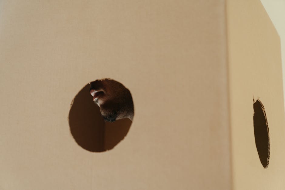 Uomo che guarda attraverso un foro in una scatola di cartone, simbolo di prospettiva e continuità nel cambiamento.