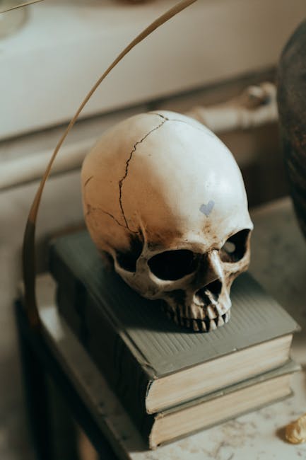 Simbolismo della morte e ritardi negli esami istologici: un teschio su libri evoca la tragica scomparsa della docente siciliana.