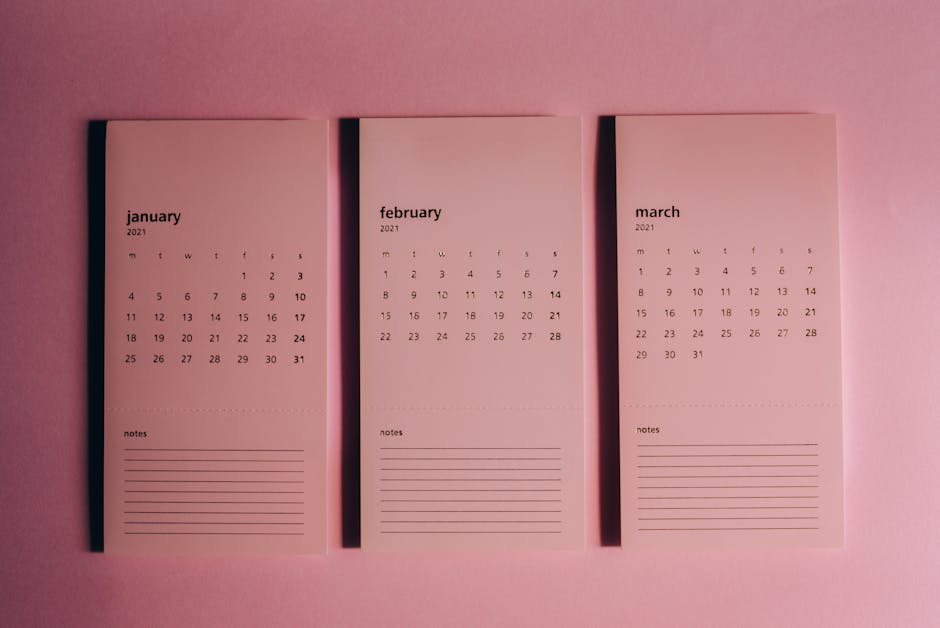 Monitoraggio nazionale dei CPIA e dei percorsi di secondo livello: istruzioni per la compilazione dal 31 gennaio al 23 febbraio