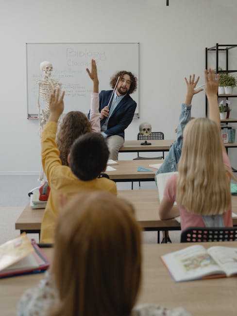 Concorso docenti PNRR 3: come i candidati con 30 CFU ex articolo 13 possono partecipare con riserva nel 2024-2025