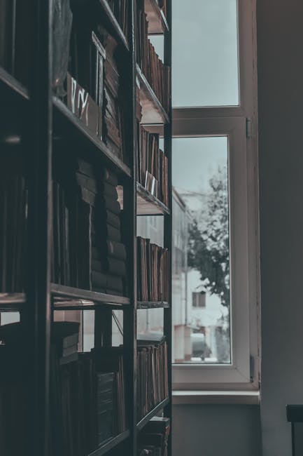 Libri in biblioteca e finestra: metafora dell'educazione affettiva e sessuale secondo Avvenire, tra conoscenza e apertura al mondo.