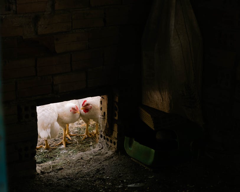 Pluriclassi e classi pollaio: due esempi di un lavoro sempre più impegnativo