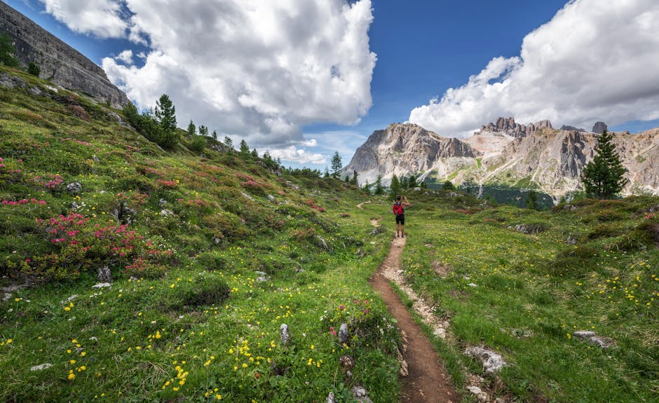 Paesaggio montano con sentiero fiorito e persona che scatta foto, ideale per illustrare il Liceo Made in Italy e la sua apertura al territorio.