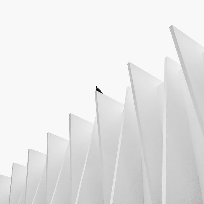 Geometria iperbolica: colomba solitaria su struttura triangolare bianca, metafora della comprensione spaziale innovativa e non euclidea.