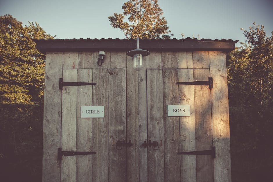 Competenze informatiche di base: le ragazze superano i ragazzi in 21 Paesi Ue, l'esempio irlandese con il 91%