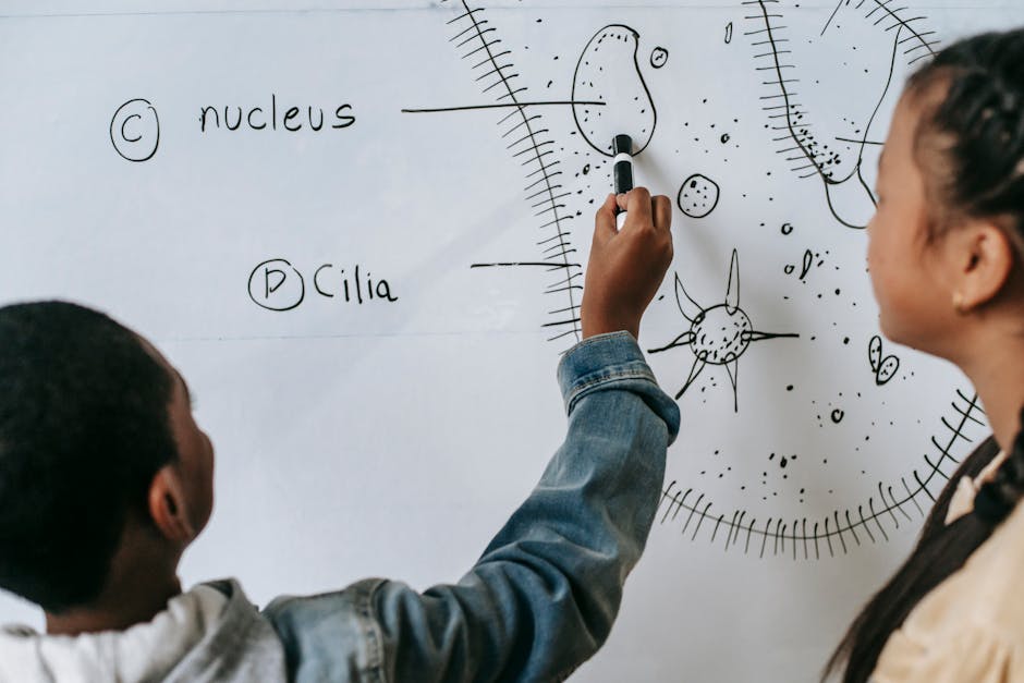 Il divieto dei cellulari in aula: una perdita di potenzialità didattiche da non sottovalutare