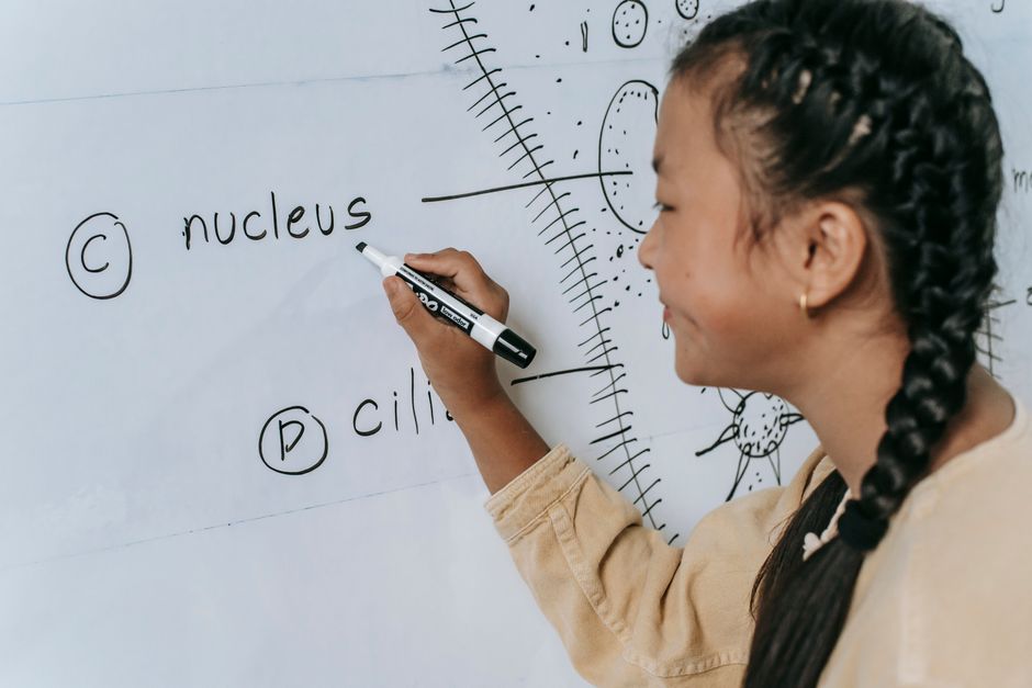Dalla TV alla classe: la sfida pedagogica per decodificare le relazioni tossiche attraverso il modello finlandese