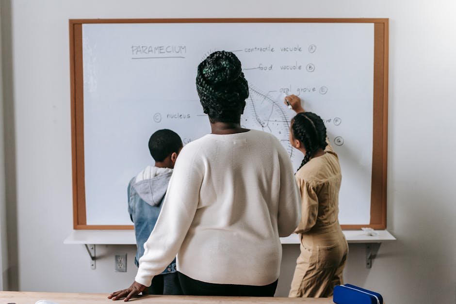 Crisi di Stabilità per Docenti di Ruolo e Aspiranti CDC A23: Guida Pratica per Dirigenti e Segreterie