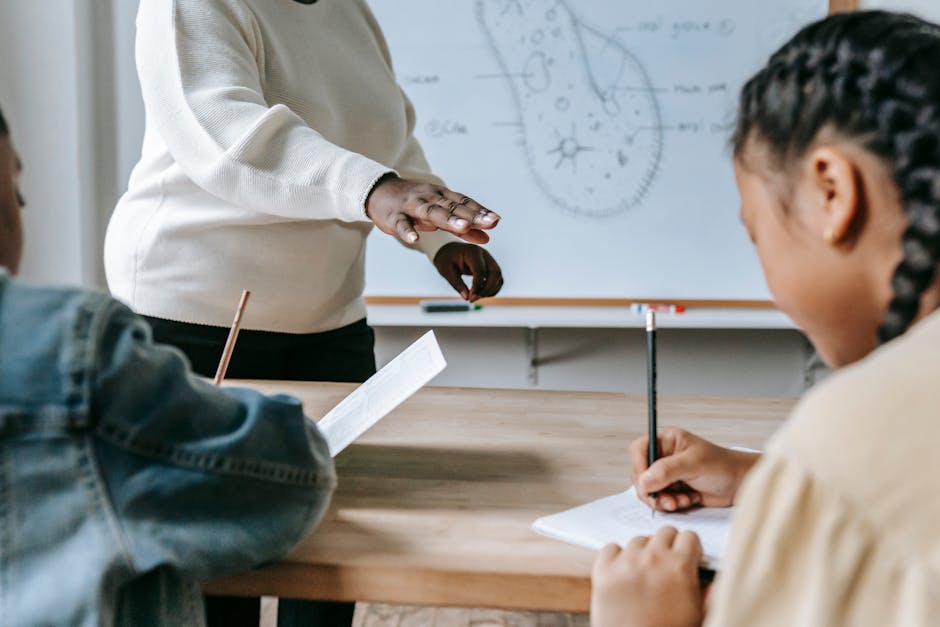 Il Giorno della Memoria: scuole invitate a iniziative di riflessione e studio. Circolare MIM — approfondimento e guida