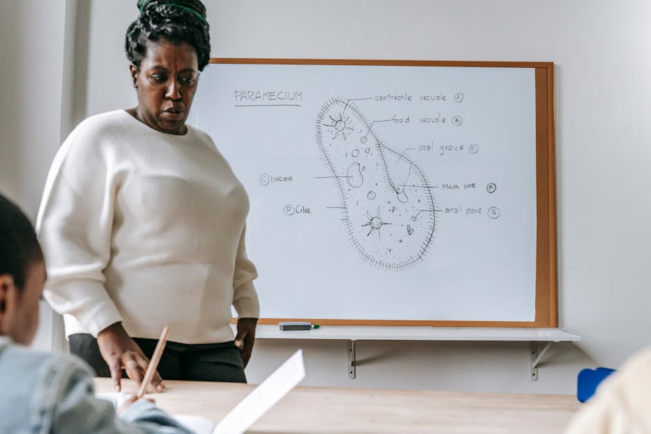 Maturità 2026, Valditara rassicura gli studenti: “Solo quattro materie all’orale e attenzione al ragionamento”