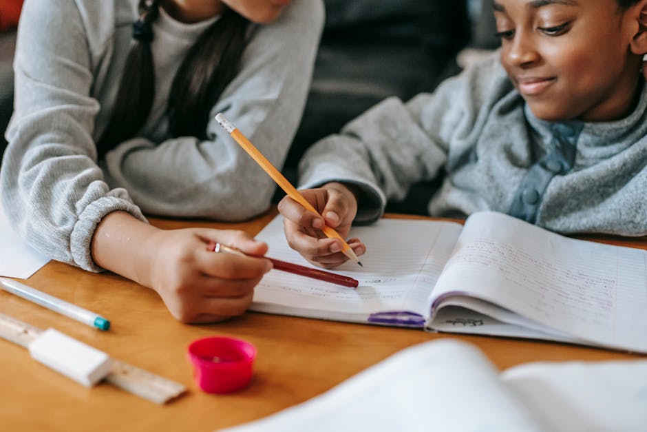 Due studenti collaborano allo studio, un'immagine che evoca l'importanza del supporto didattico e delle supplenze brevi a scuola.