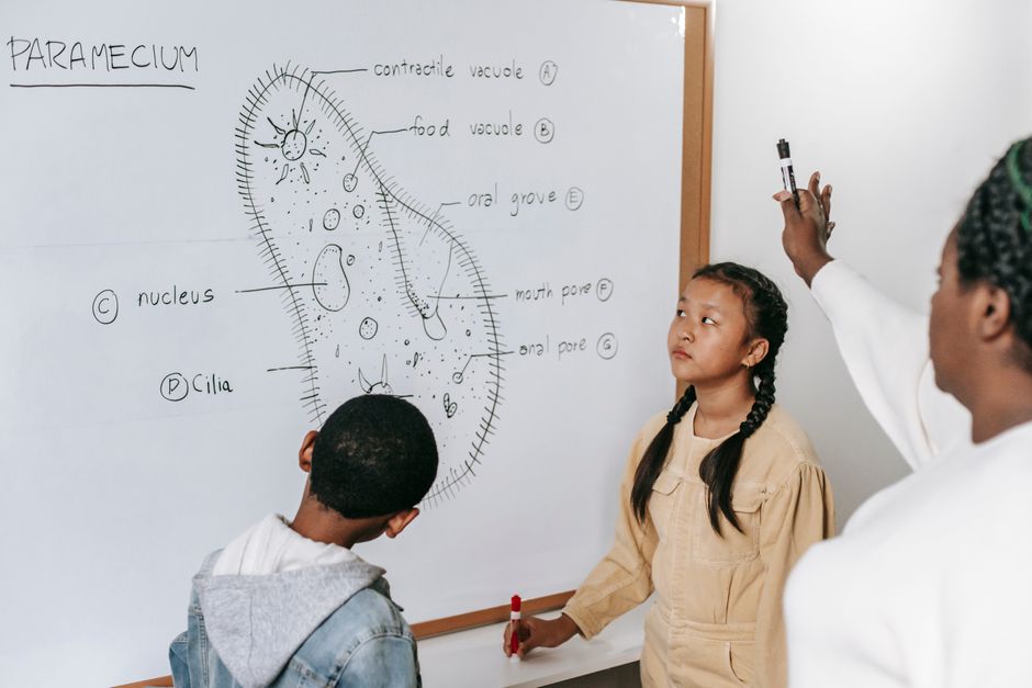 Bambini in aula studiano il Paramecio alla lavagna, in relazione al rischio Salmonella nelle mense scolastiche