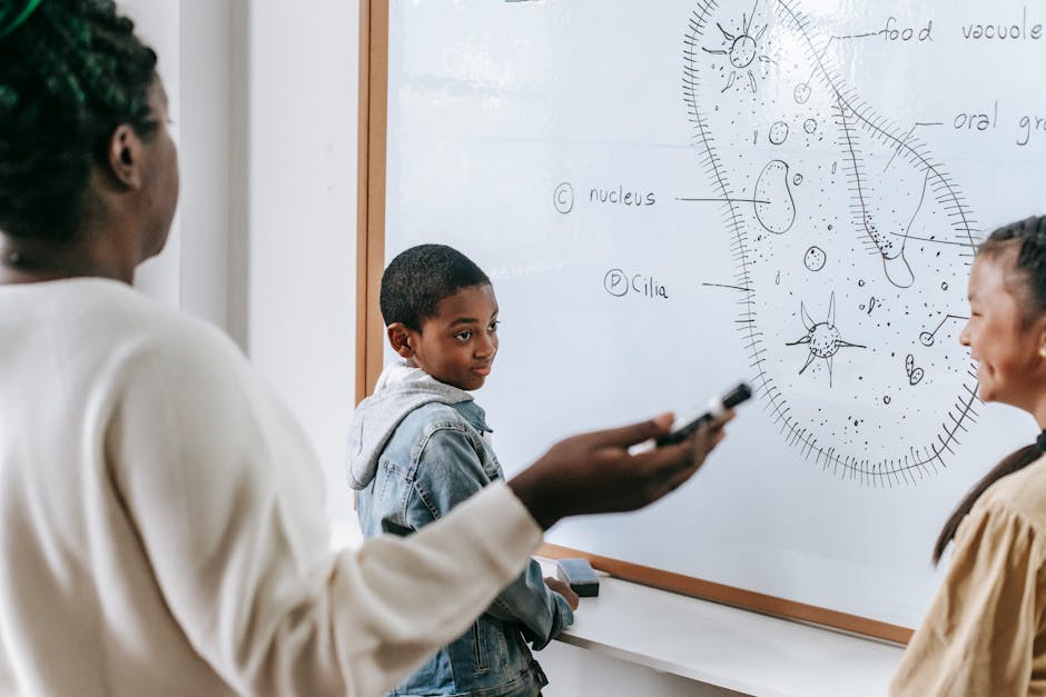 Scopri i Vantaggi Unici della Didattica Collaborativa nell'Apprendimento