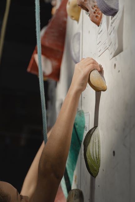 Arrampicata indoor: flessibilità e adattamento come vantaggi competitivi nella didattica e nell'organizzazione del lavoro.