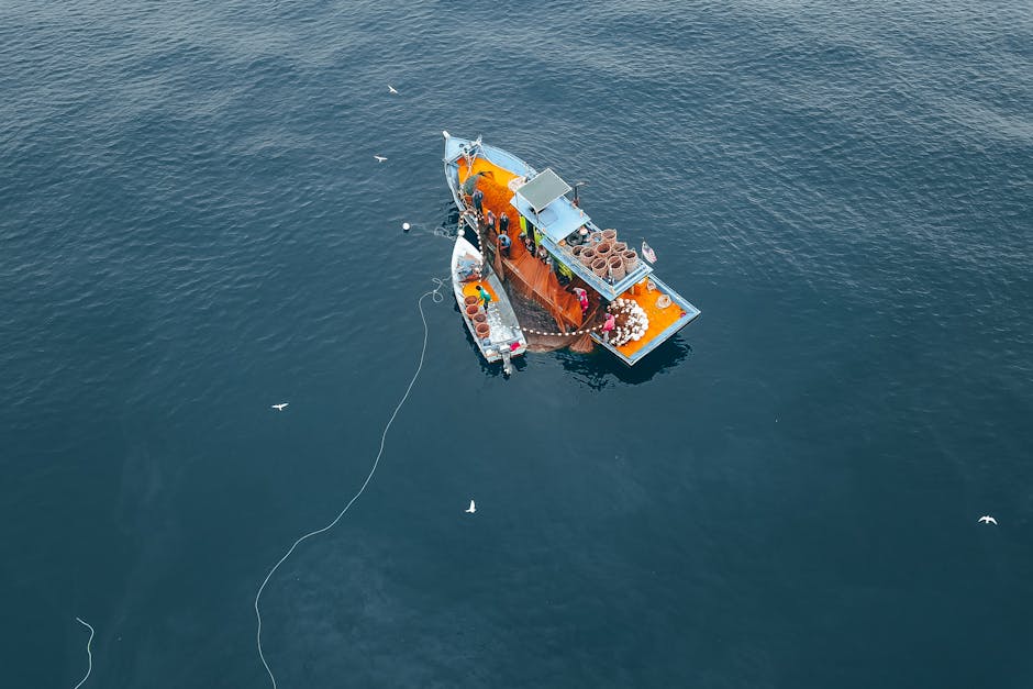Barca da pesca vista dall'alto: metafora visiva per tasse e stipendi, dal lordo al netto, trattenute e guadagno effettivo.