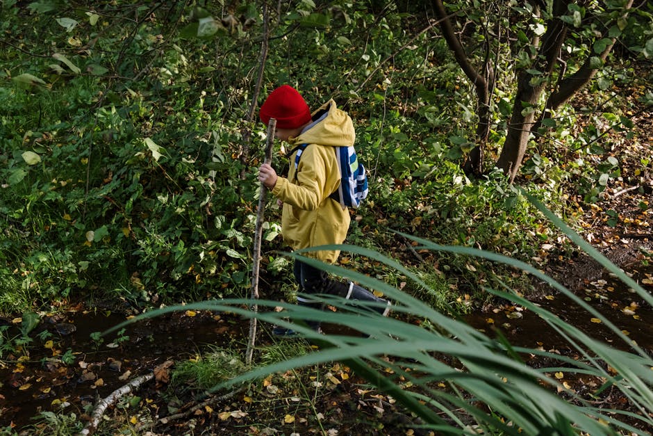 Bambino esplora la natura con bastone, sviluppo emotivo attraverso il gioco all'aperto e scoperta dell'ambiente circostante