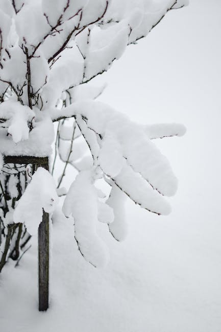 Arretrati personale ATA: quanto spetta tra gennaio 2024 e dicembre 2025. Fino a 1300 euro lordi — approfondimento e guida