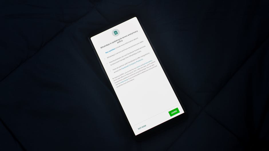 Smartphone che mostra l'aggiornamento dei termini di servizio di WhatsApp, rilevante per la digitalizzazione della scuola e la valutazione dei dirigenti scolastici.