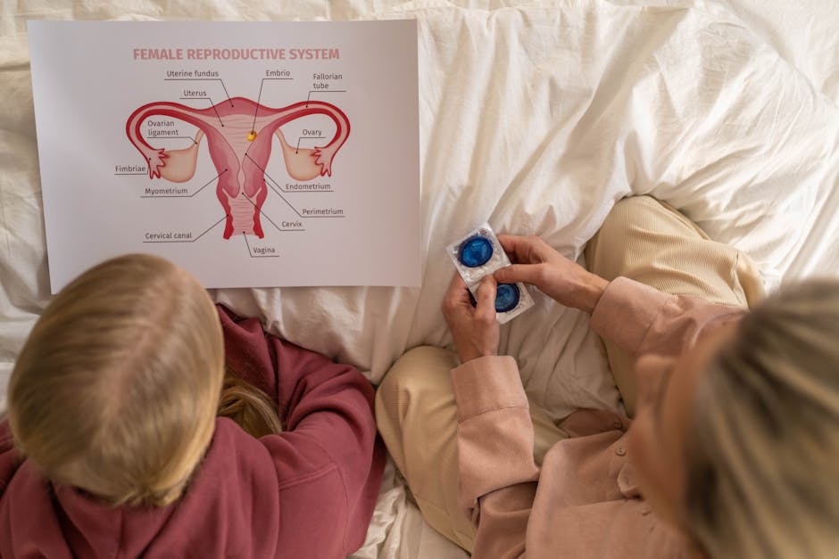 Adolescenti e sessualità: immagine di un diagramma del sistema riproduttivo femminile e preservativi, utile per la contraccezione e la prevenzione.