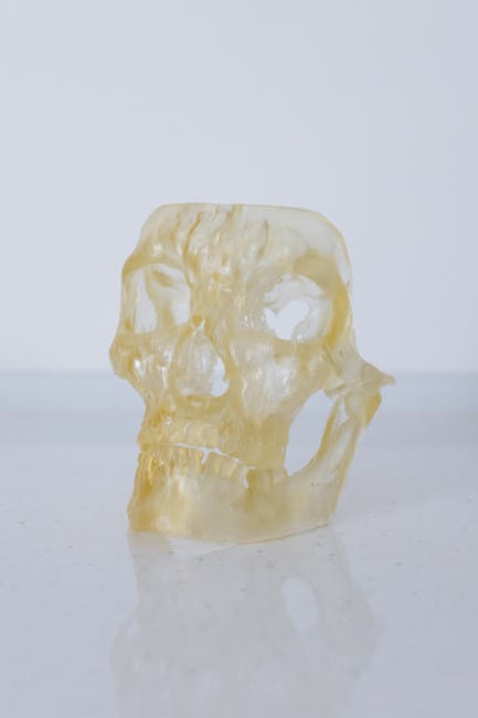 Cranio umano traslucido su superficie riflettente, evocativo della caducità e della bellezza effimera, in relazione a La Sera Fiesolana.