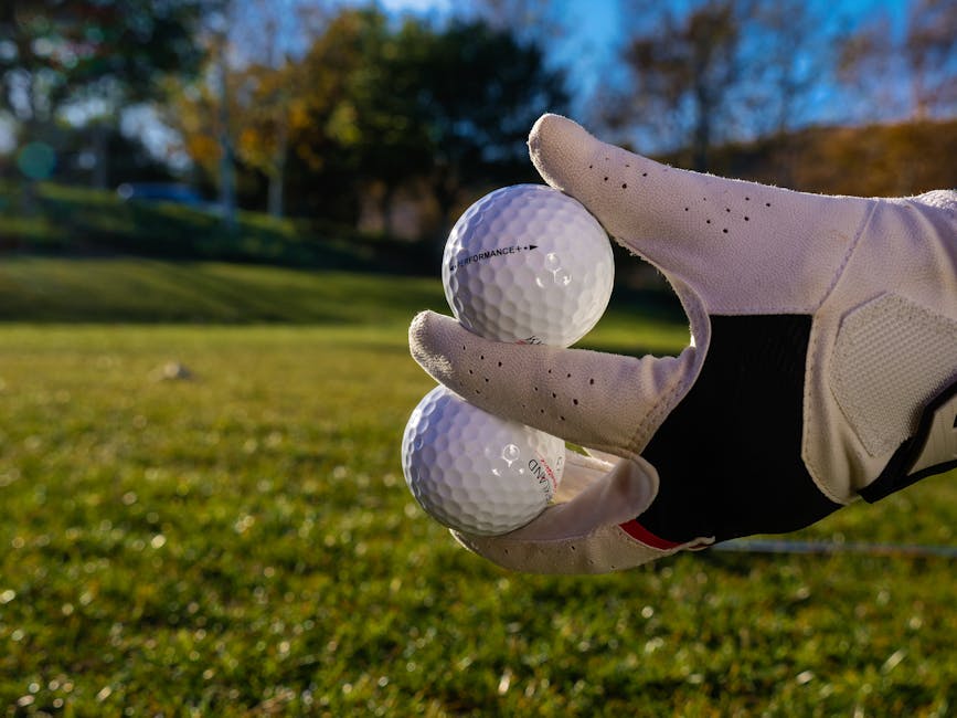 Guanto da golf che tiene due palline: metafora per nuove competenze acquisite nei corsi INVALSI per docenti