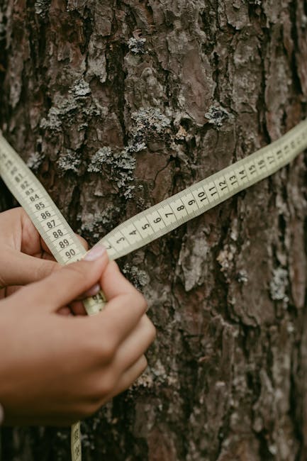 Calcolo della Circonferenza: Suggerimenti Pratici per Risultati Impeccabili