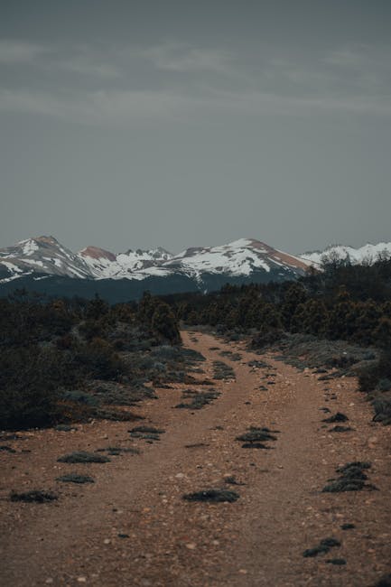 Studenti infortuni in crescita nel 2025: oltre 74.000 denunce, prevalentemente sotto i 15 anni
