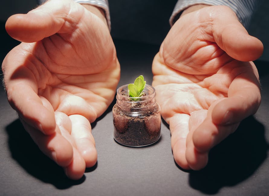 Germoglio in vaso protetto da mani: simbolo di economia sostenibile e futuro green nei laboratori