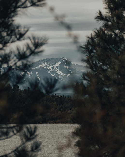 Paesaggio montano con lago e alberi in primo piano, visualizzazione prospettica che simula un fascio di rette convergenti verso la montagna