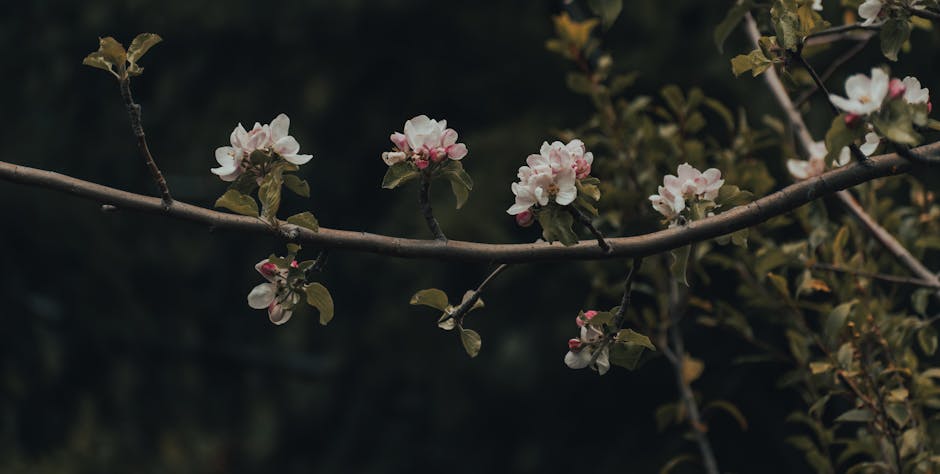 Annusario dell'editoria italiana 2025: una crescita negativa del settore del 2,1% a valore