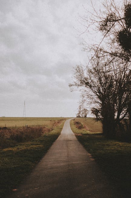 Calcolo tempi di percorrenza: strada rurale che si estende verso l'orizzonte, ideale per pianificare itinerari e stimare la durata del viaggio.