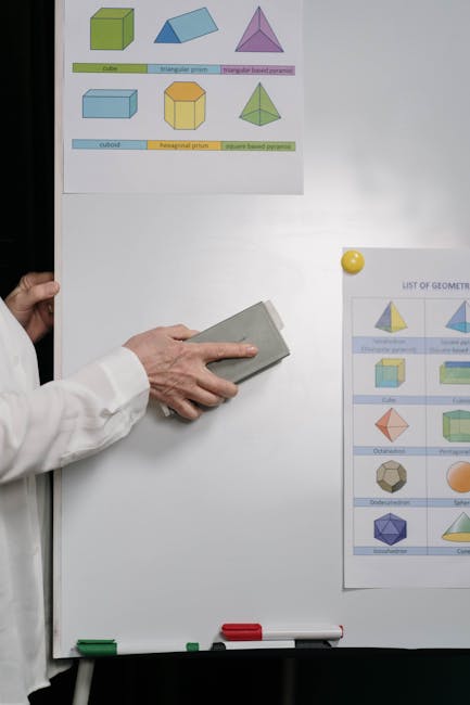 Formule Speciali: Approfondire il Concetto di Cerchio e Circonferenza
