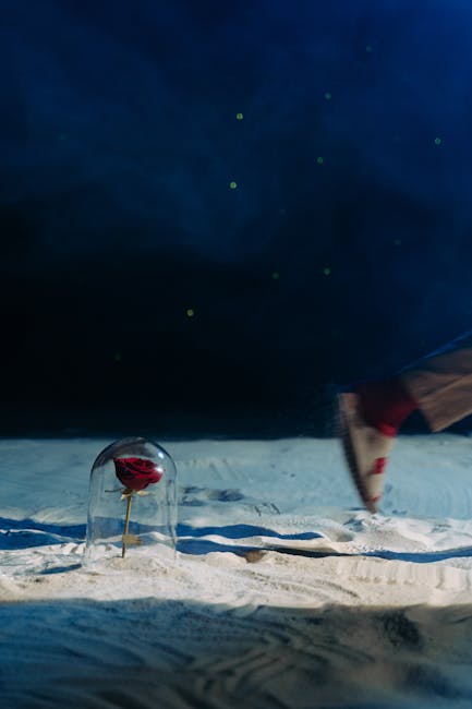 Rosa rossa sotto una campana di vetro su superficie bianca, metafora per il calcolo del volume di un cilindro e la sua protezione.