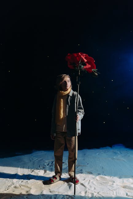 Il Piccolo Principe è tornato: 4 modi per usare il romanzo di Ennio Di Francesco in classe