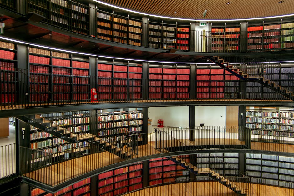 Interno biblioteca a più livelli con scaffali pieni di libri, ideale per viaggi d'istruzione e stage linguistici all'estero.
