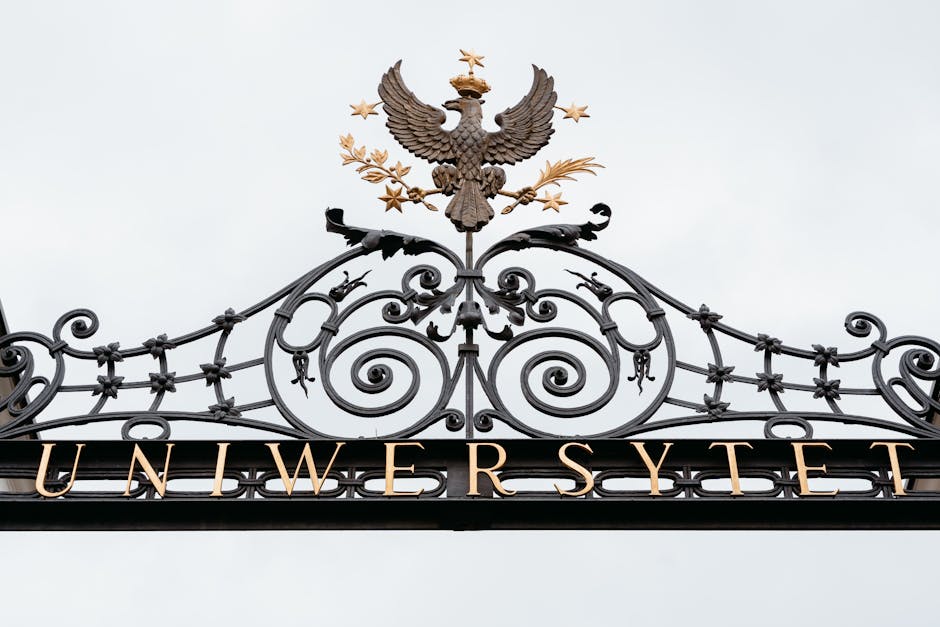 Dalla scuola tradizionale alle città educative: scopri i learning hub urbani