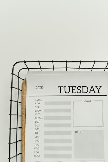 Agenda settimanale con orari e obiettivi, promemoria per DSGA e personale ATA, pianificazione attività scolastiche e scadenze ministeriali.