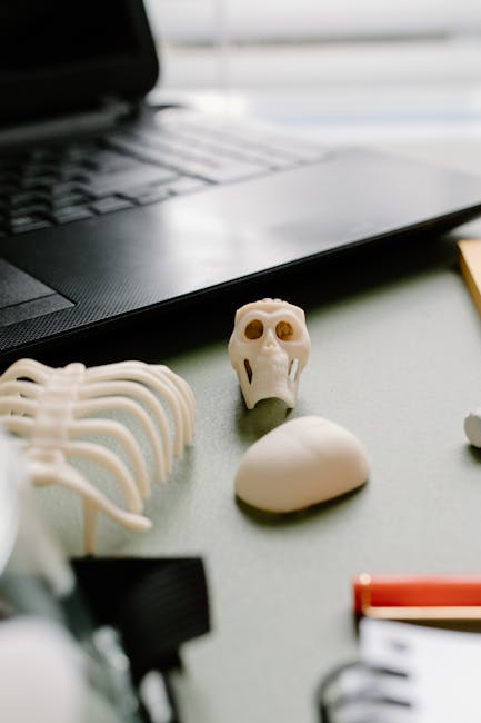 Scheletro e teschio in miniatura vicino a un laptop: metafora per le sfide nell'apprendimento informatico per DSA